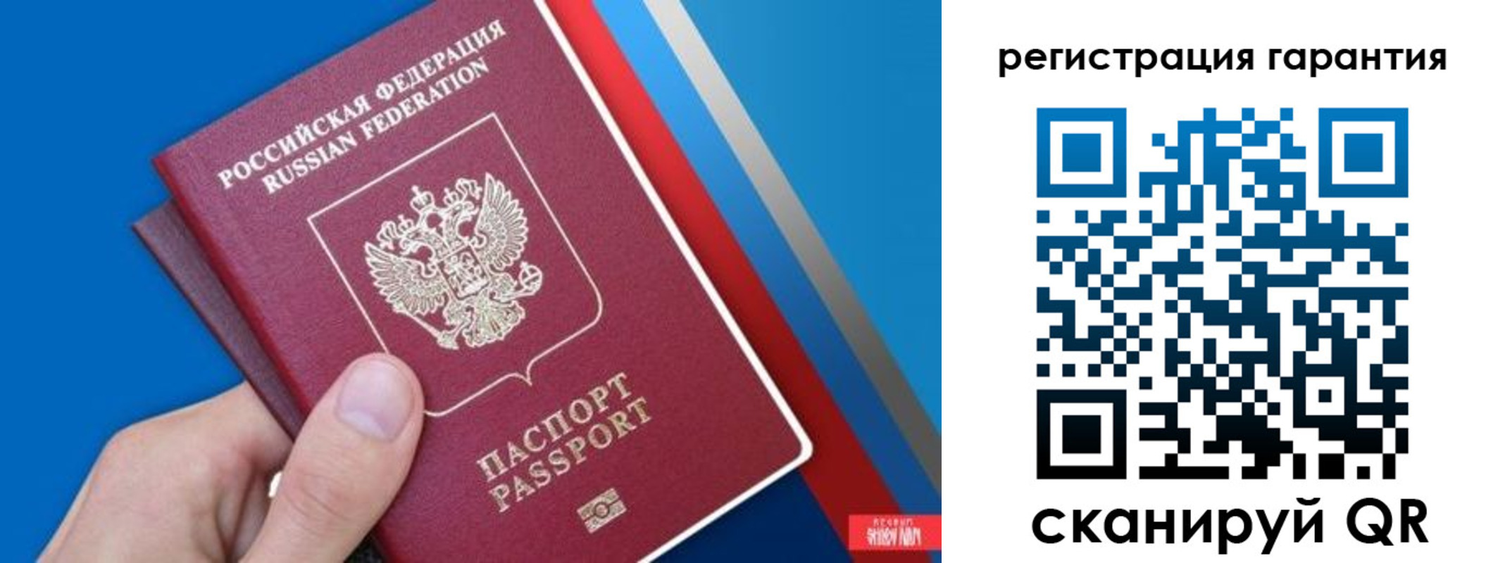 прописка для школы в Владимире